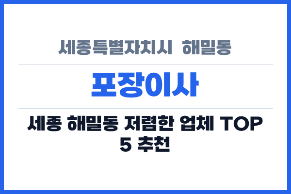 세종특별자치시  해밀동 포장이사