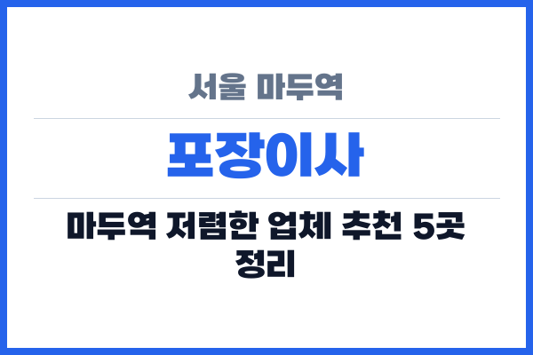 서울 마두역 포장이사