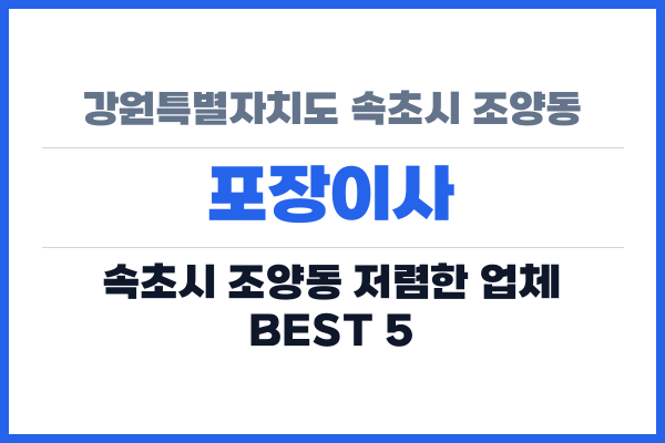 강원특별자치도 속초시 조양동 포장이사